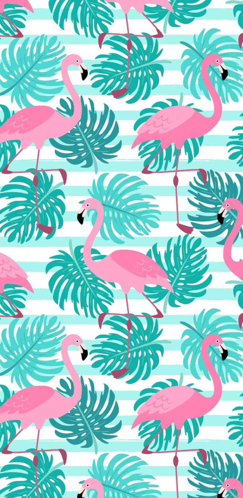 Flamingo Fiesta