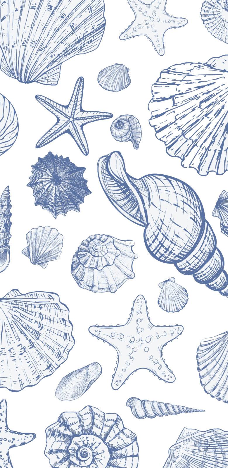 Shell Symphony