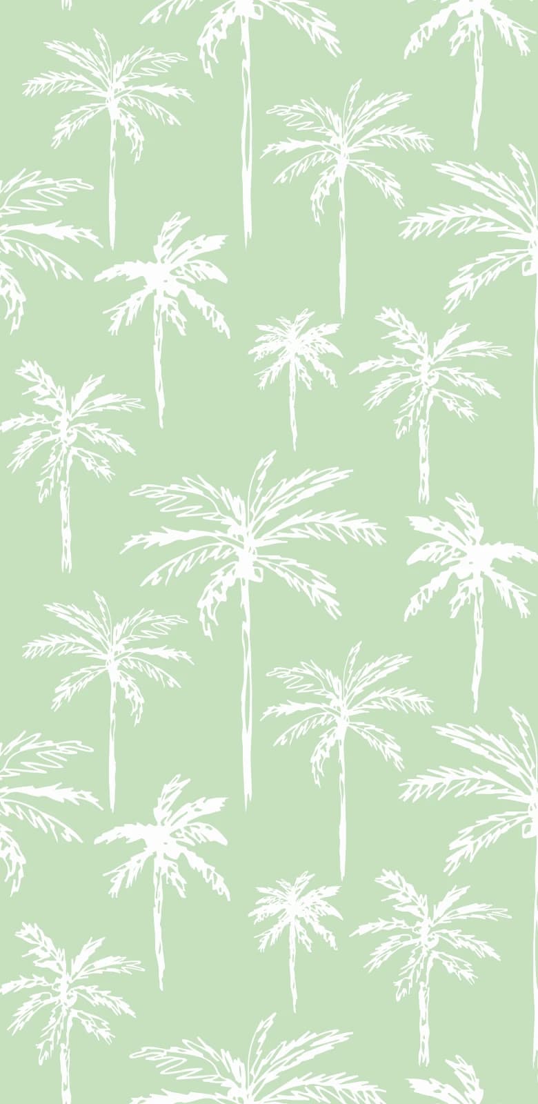 Palm Breeze