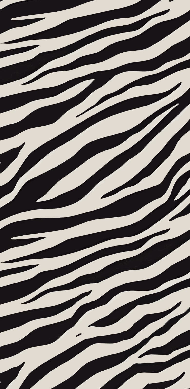 Zebra Vibes